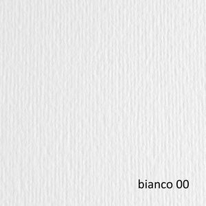 BLISTER 10FG CARTONCINO 70X100 220GR BIANCO 100 FABRIANO ELLE ERRE