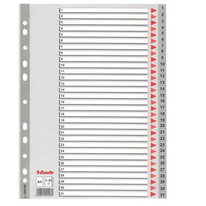 Separatore in PPL grigio numerico 1-31 f.to A4 ESSELTE