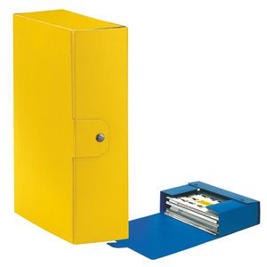 Scatola progetto C30 25x35cm dorso 10 giallo ESSELTE Scatola progetto C30 25x35cm dorso 10 giallo ESSELTE