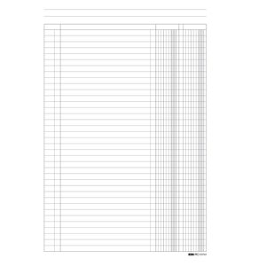 REGISTRO A 2 COLONNE 100PAG. 31X24CM E2763 REGISTRO A 2 COLONNE 100PAG. 31X24CM E2763