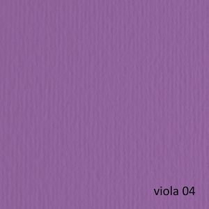 BLISTER 20FG CARTONCINO 50X70 220GR VIOLA 104 FABRIANO ELLE ERRE
