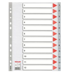 Separatore in PPL grigio numerico 1-12 A4 22,5x29,7cm ESSELTE Separatore in PPL grigio numerico 1-12 A4 22,5x29,7cm ESSELTE