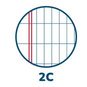 MAXIQUADERNO A4 40fg+2 80gr 2colonne MONOCROMO PIGNA