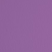 BLISTER 10FG CARTONCINO 70X100 220GR VIOLA 104 FABRIANO ELLE ERRE