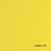 BLISTER 10FG CARTONCINO 70X100 220GR CEDRO 125 FABRIANO ELLE ERRE