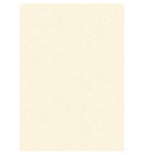 BLISTER 10 DIPLOMI PERGAMENA 297x420mm 160gr neutro avorio KARTOS
