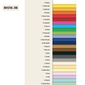 Conf.10 cartoncino Bristol Color 200gr 100x70cm marrone 75 Favini