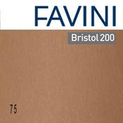 Conf.25 cartoncino Bristol Color 200gr 50x70cm marrone 75 Favini