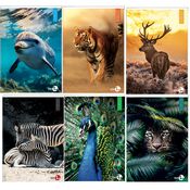 Maxiquaderno A4 40fg+2 80gr 5mm Animal BM