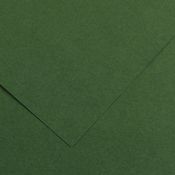 Foglio COLORLINE 70x100 cm 220 gr. 31 Verde abete
