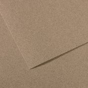 Foglio MI-TEINTES A4 cm 160 gr. 431 grigio screziato