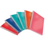 Maxiquaderno spiralato A5 s/fori 1 rigo 70fg 80gr Monocromo