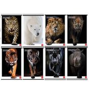 Maxiquaderno A4 80gr 40+2fg 1rigo Animal Pigna